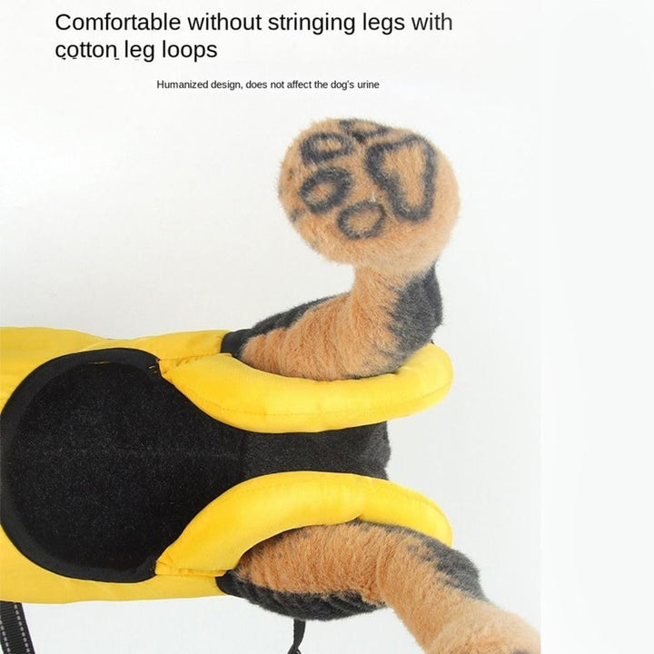 Multifunctional dog support suit