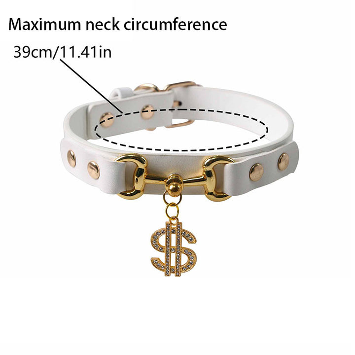 Stylish Pet Collar Accessory