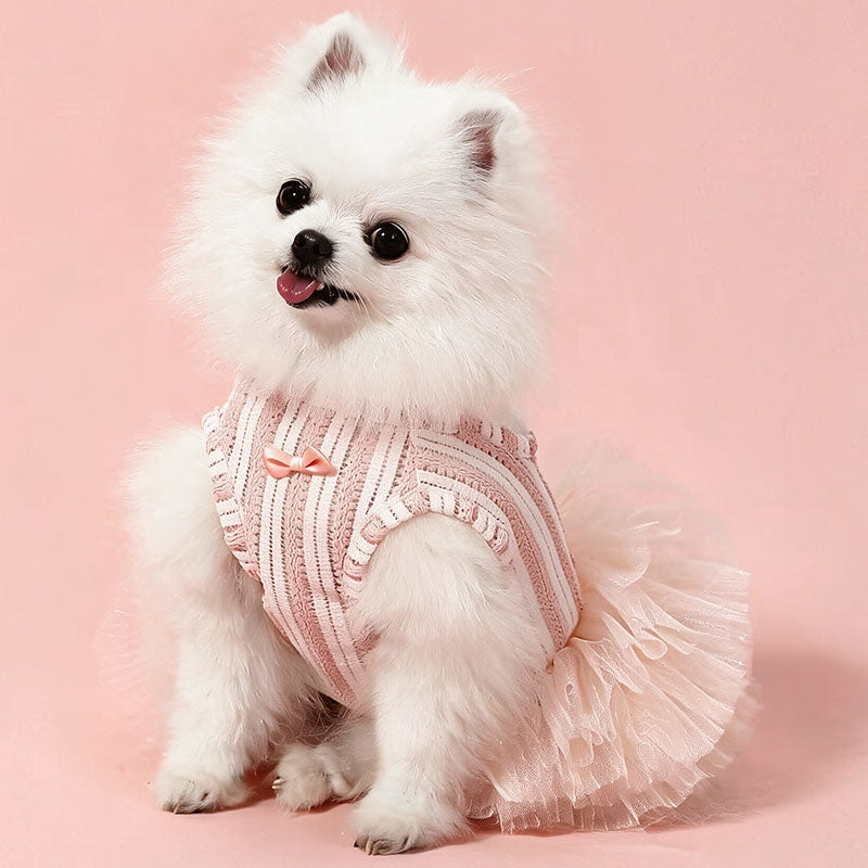 Lace Tutu Puppy Dress