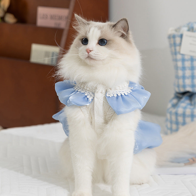 Cat-themed shimmering bow dress
