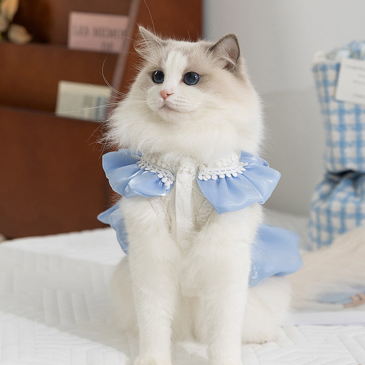 Cat-themed shimmering bow dress