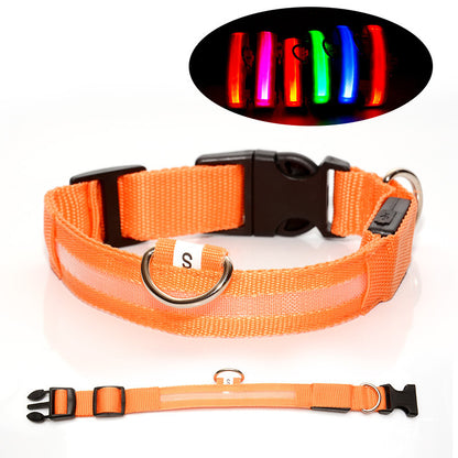Pet LED Light-Up Collar