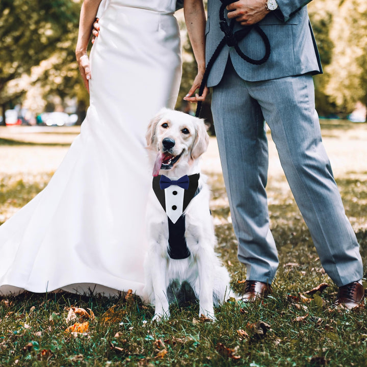 Pet Dog Tuxedo Bandana