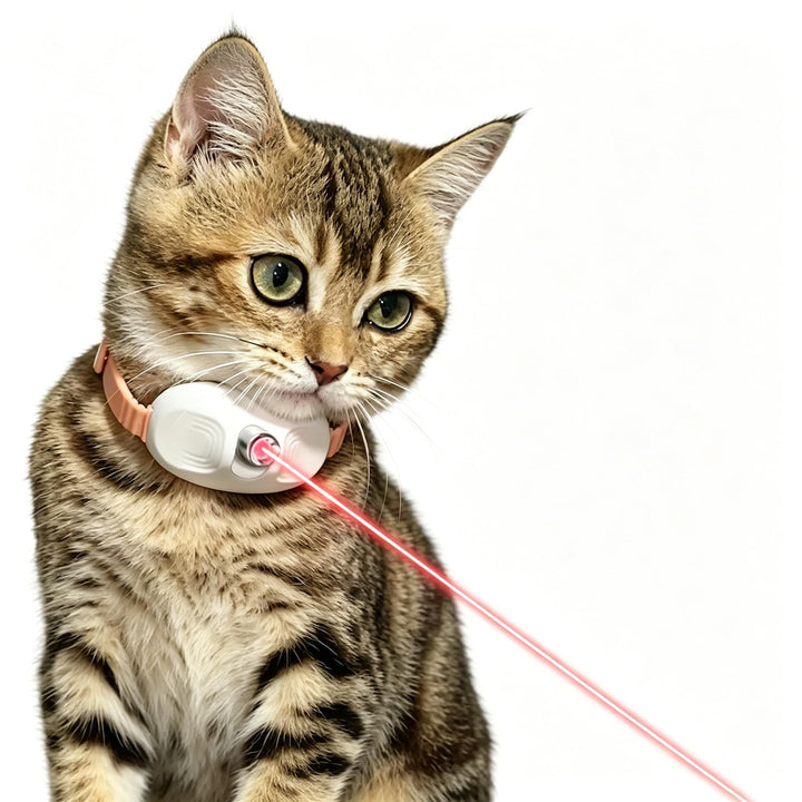 Smart Laser Cat Collar