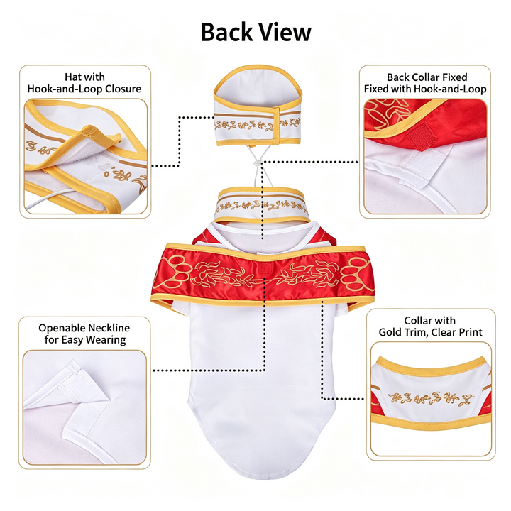 Pet Pope Dress