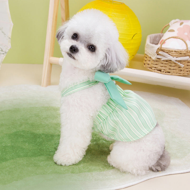 Pet lotus leaf leash