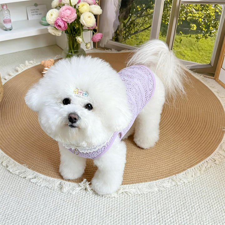 Pet mesh openwork vest