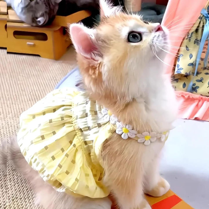 Floral Wreath Collar Pet Dress
