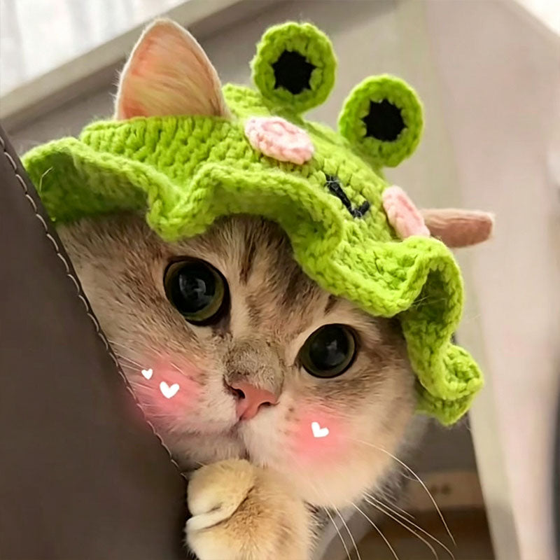 Knitted frog hat for cats