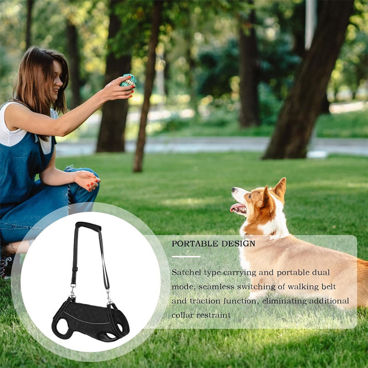 Multifunctional dog support suit