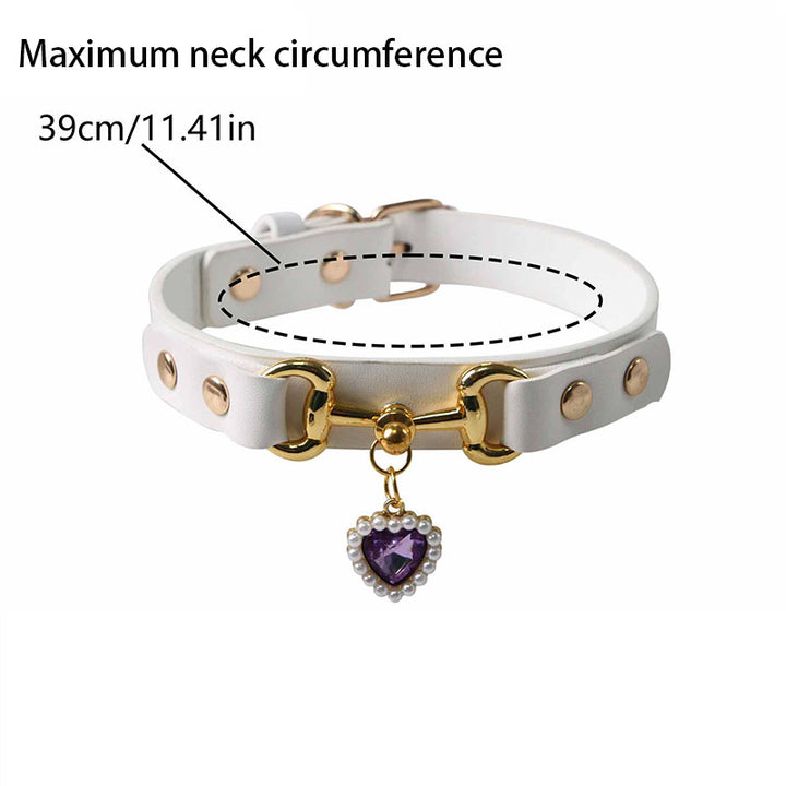 Stylish Pet Collar Accessory