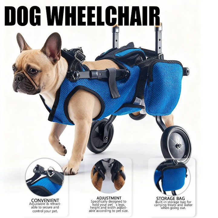 Mobility cart for canine rehabilitation training