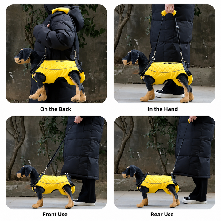 Dog assistance harness