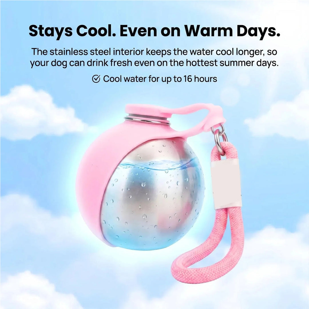 Portable Pet Water Bottle