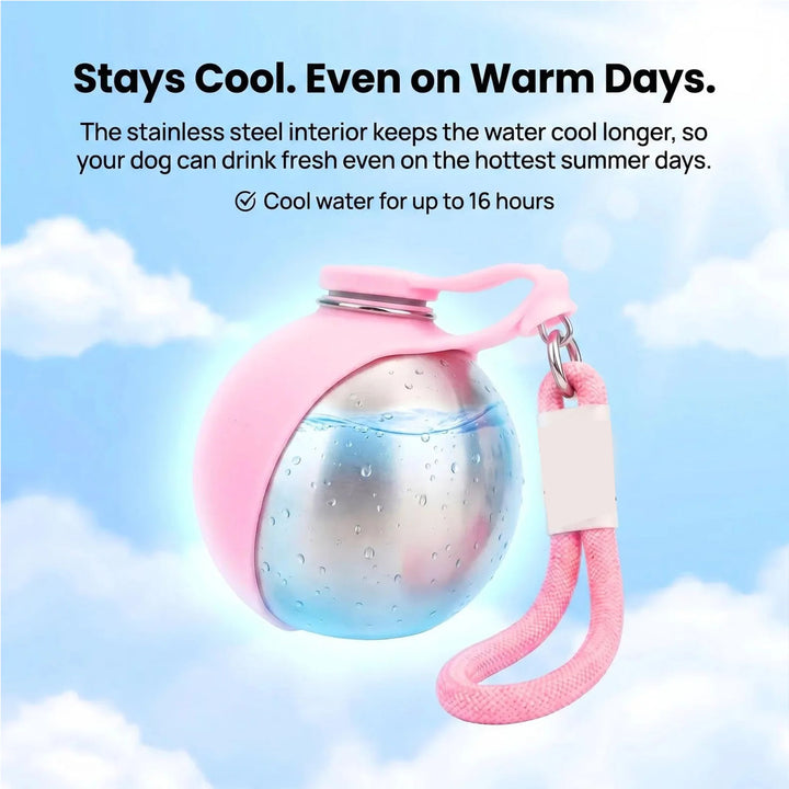Portable Pet Water Bottle