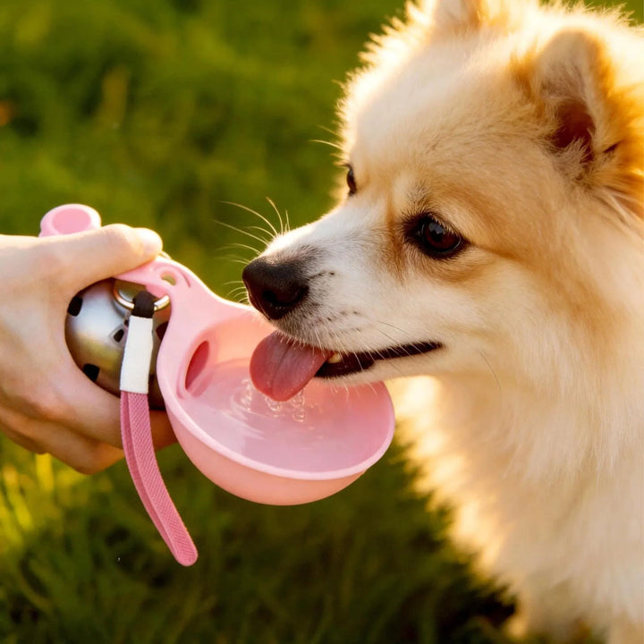 Portable Pet Water Bottle