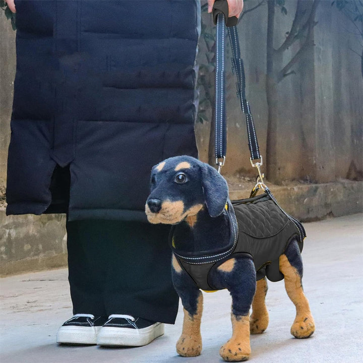 Multifunctional dog support suit