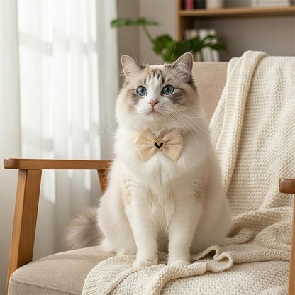 Pet pearl necklace collar