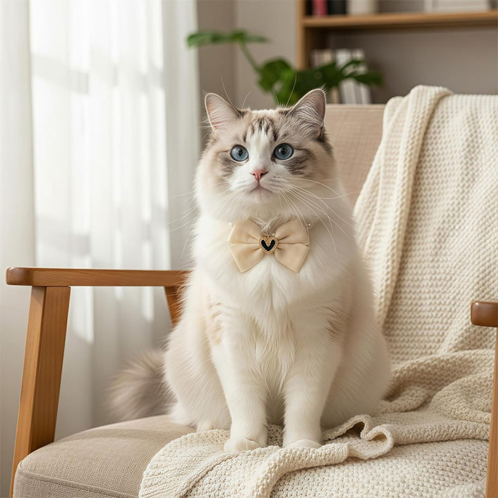 Pet pearl necklace collar