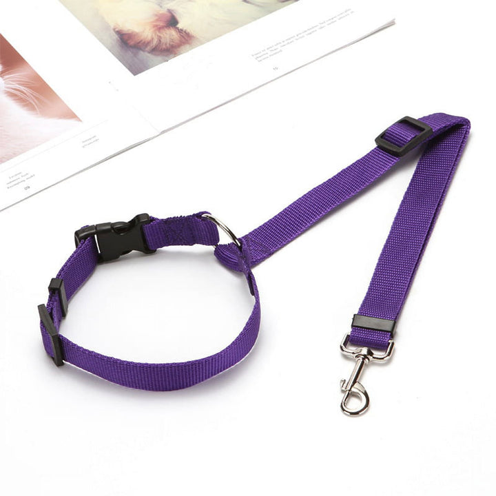 Pet car safety rope