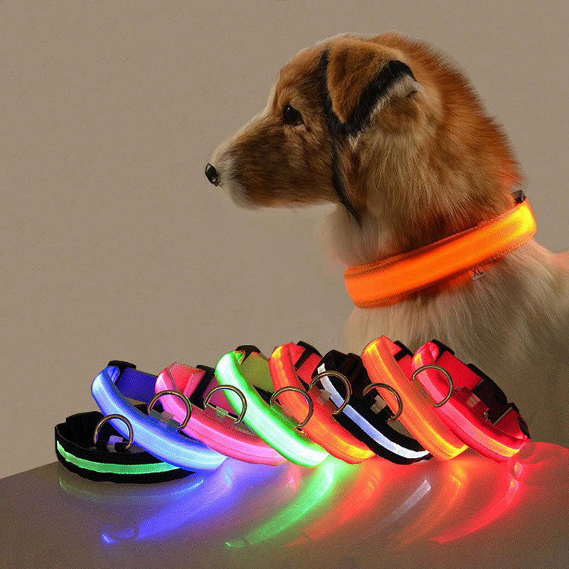 Pet LED Light-Up Collar