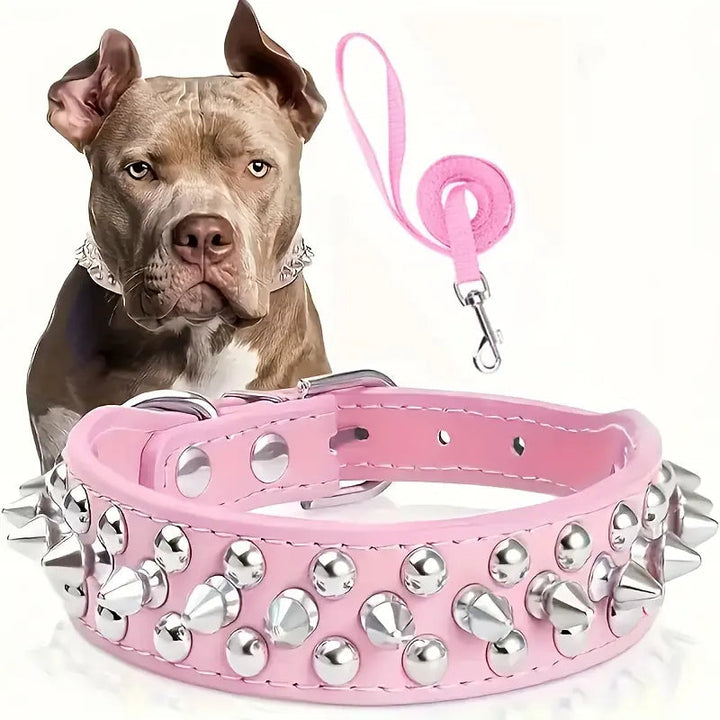 Adjustable Spiked Dog Collar Leash Set