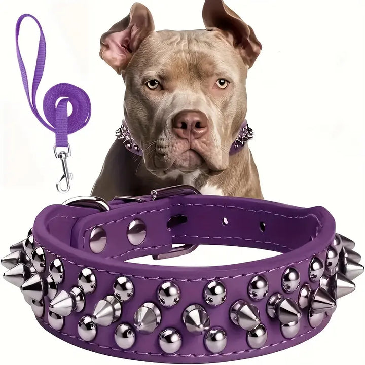 Adjustable Spiked Dog Collar Leash Set