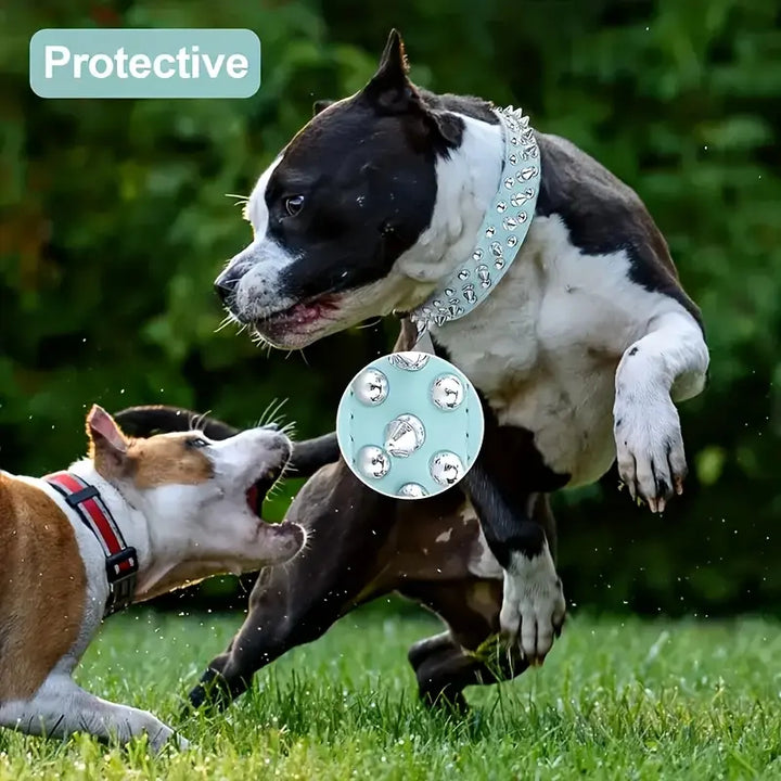 Adjustable Spiked Dog Collar Leash Set
