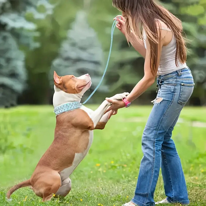 Adjustable Spiked Dog Collar Leash Set