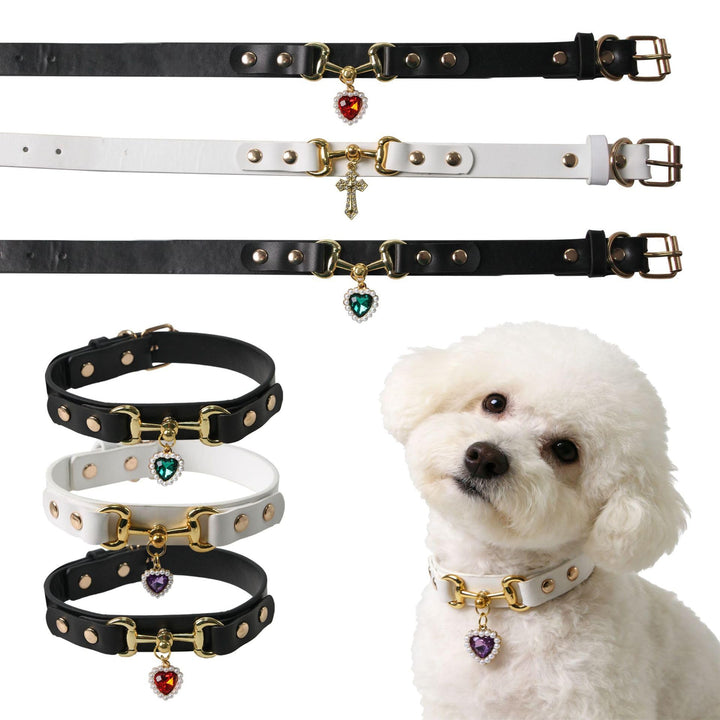 Stylish Pet Collar Accessory