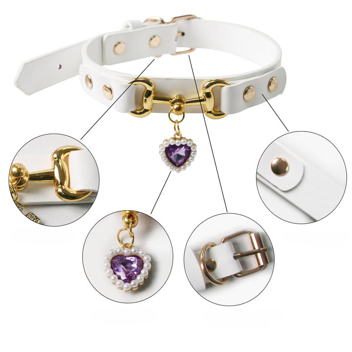Stylish Pet Collar Accessory