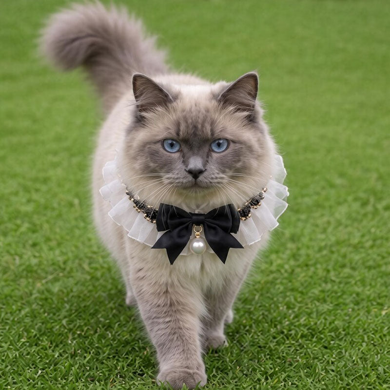 Pet Bow and Pearl Collar