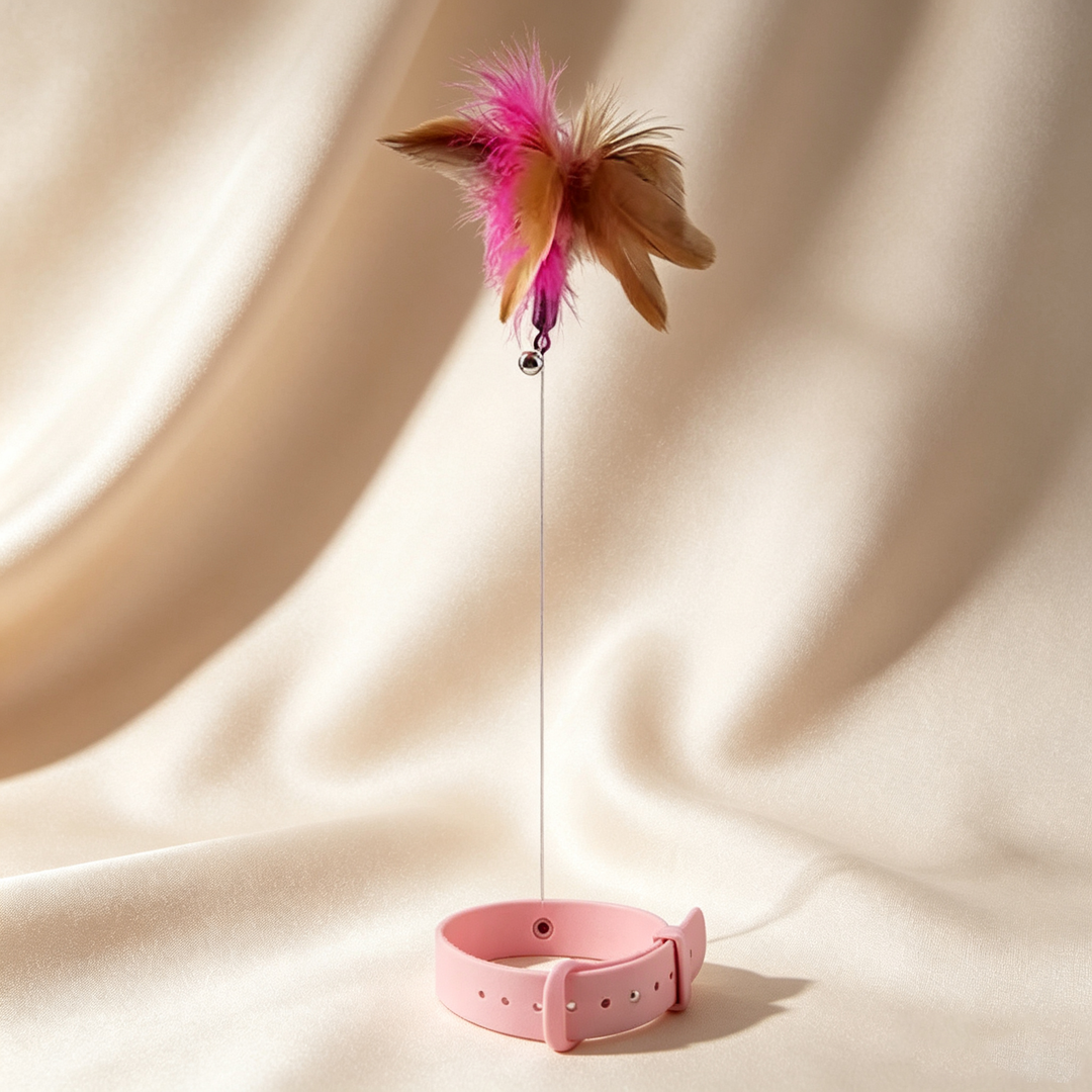 Adjustable collar cat toy