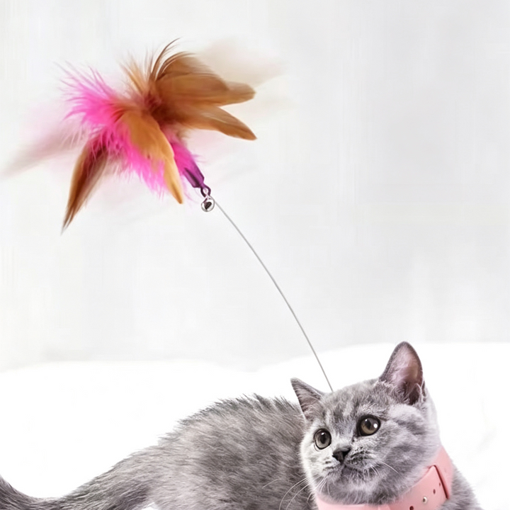 Adjustable collar cat toy