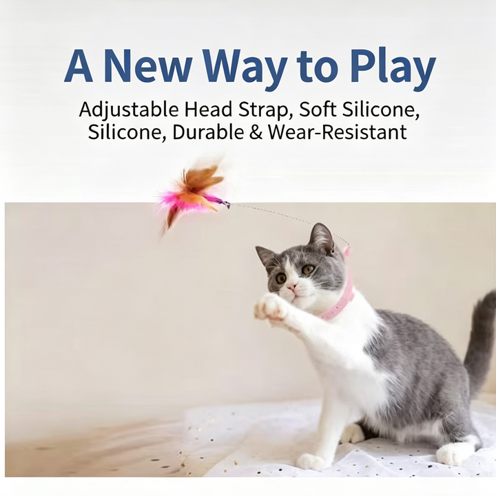 Adjustable collar cat toy