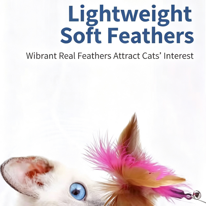 Adjustable collar cat toy