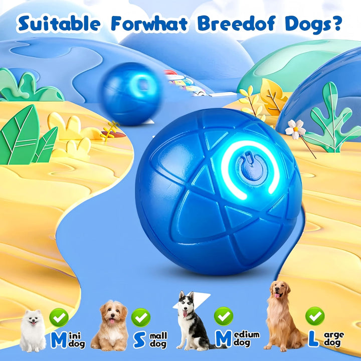 Interactive Pet Jump Ball