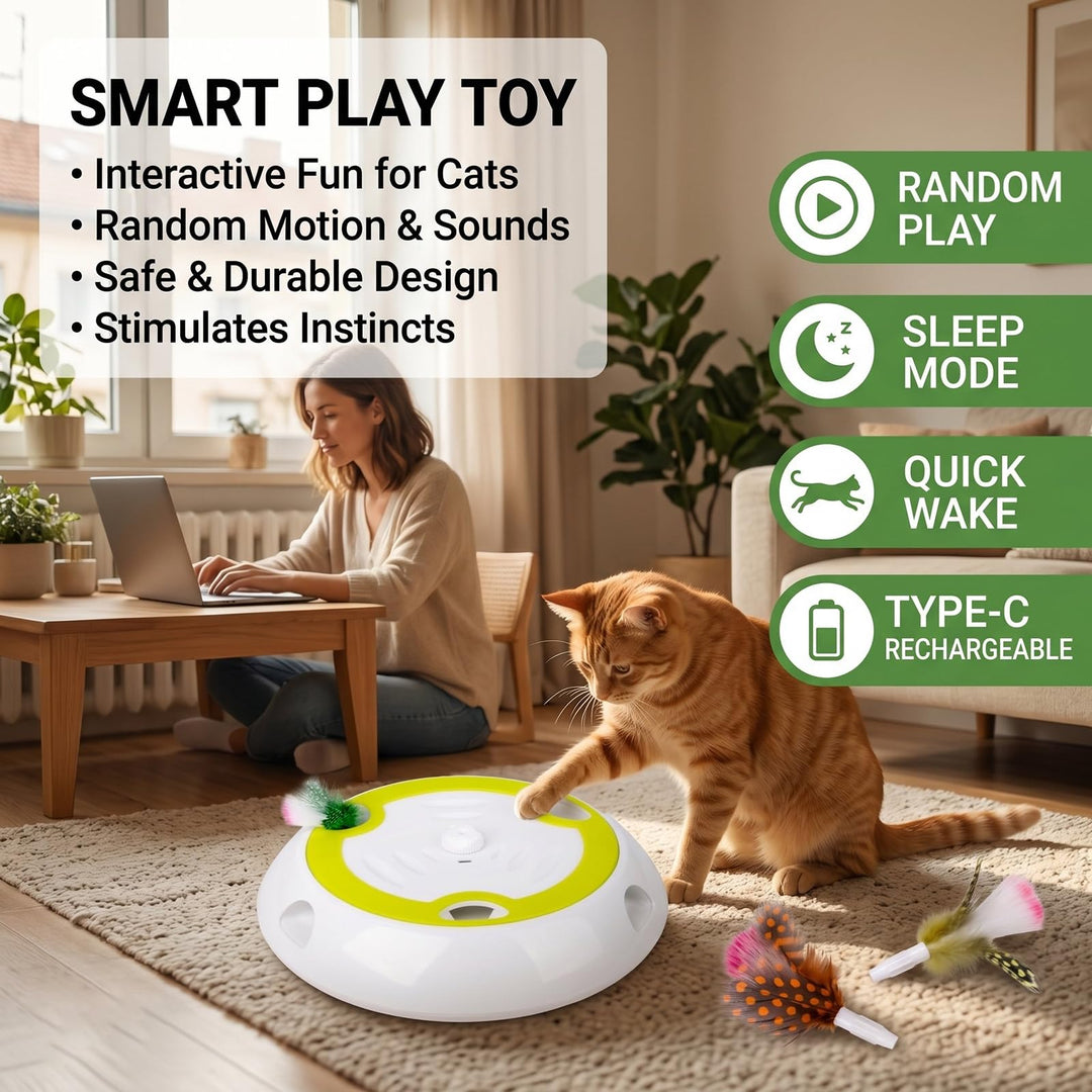 Electric Whack A Mole Cat Toy