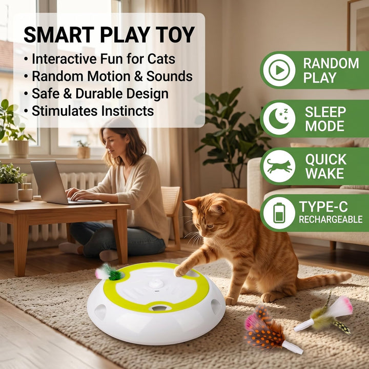 Electric Whack A Mole Cat Toy