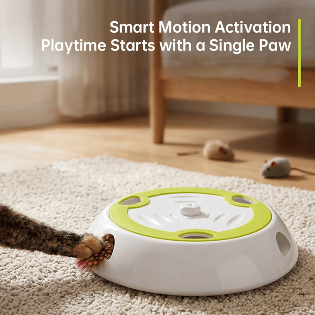 Electric Whack A Mole Cat Toy