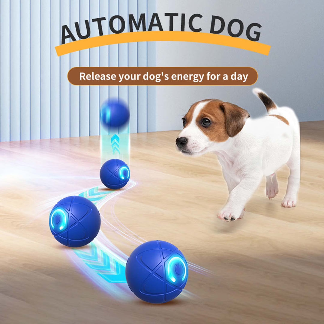 Interactive Pet Jump Ball