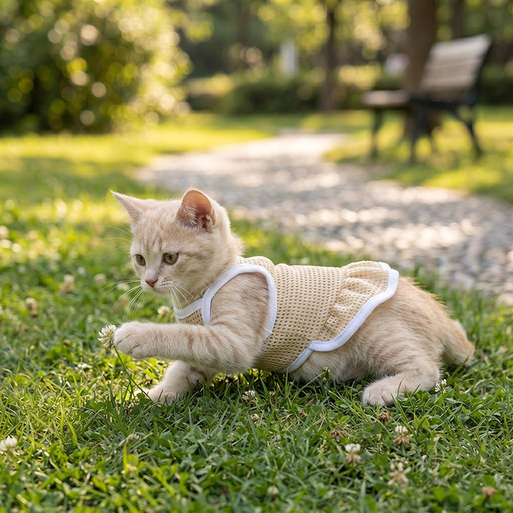 Pet Breathable Mesh Sundress