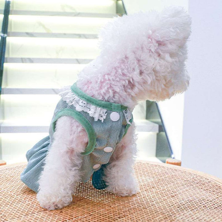 Rabbit Print Pet Dress