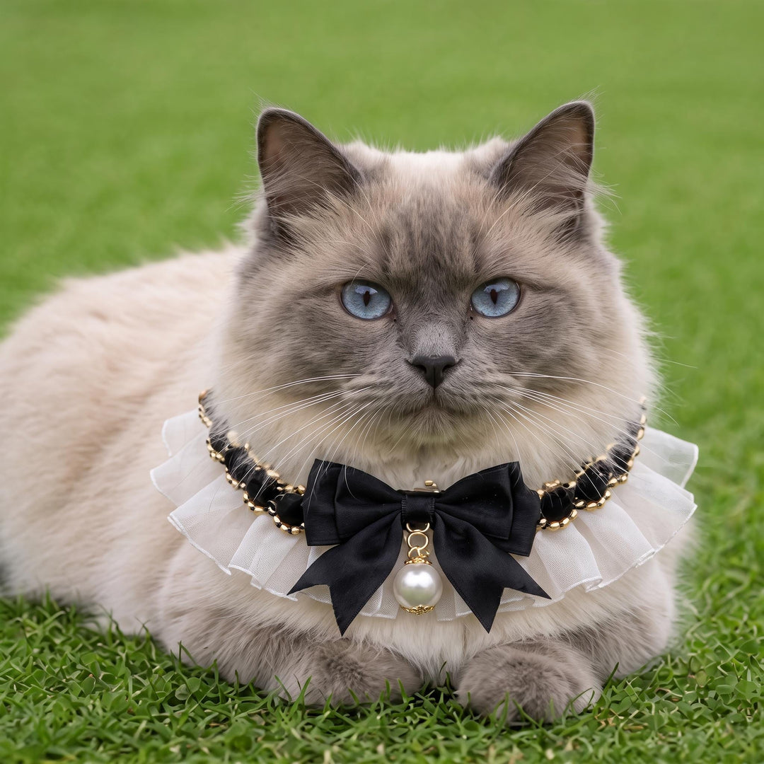 Pet Bow and Pearl Collar