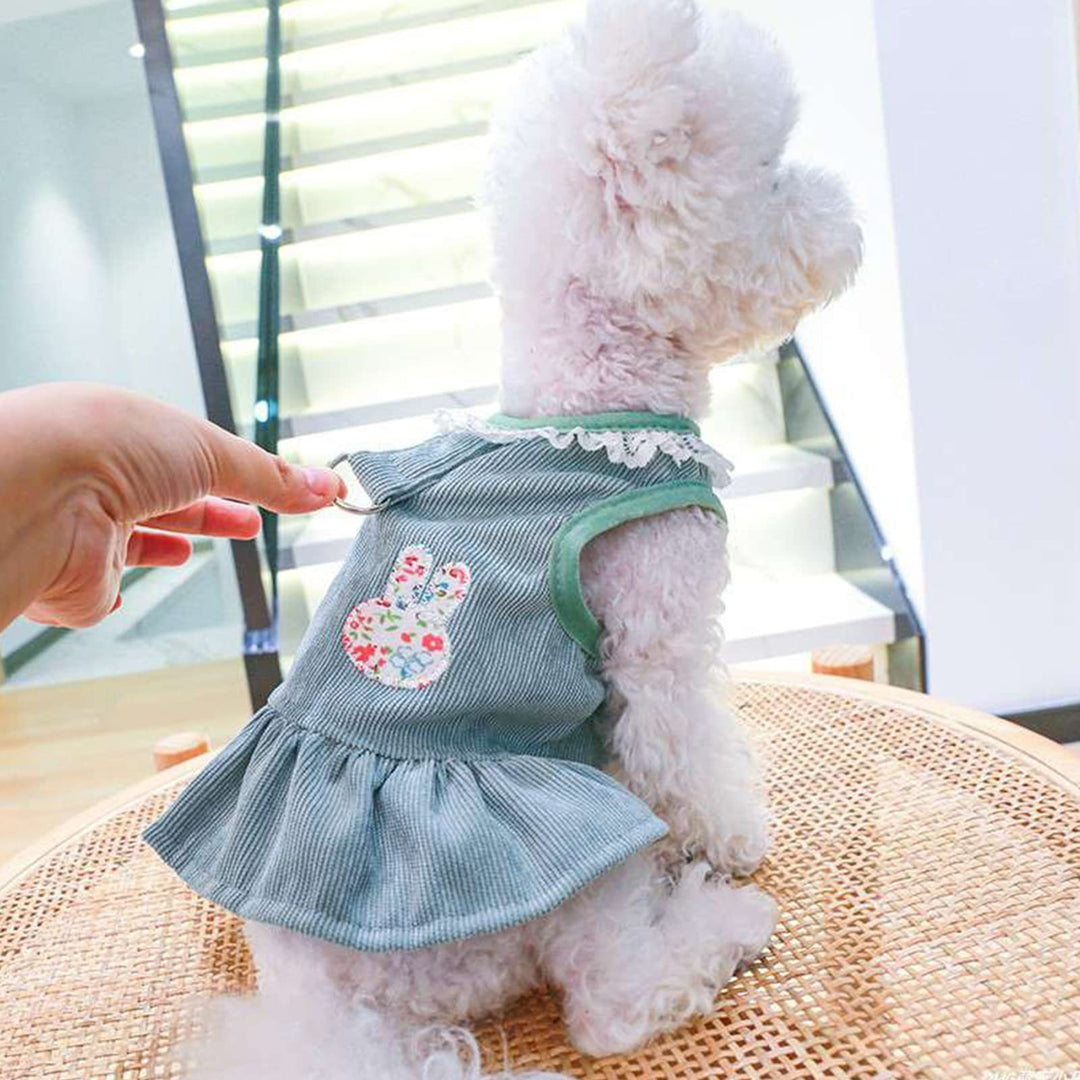 Rabbit Print Pet Dress