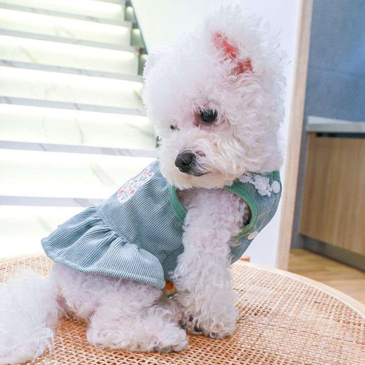 Rabbit Print Pet Dress