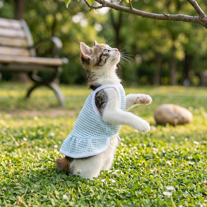 Pet Breathable Mesh Sundress