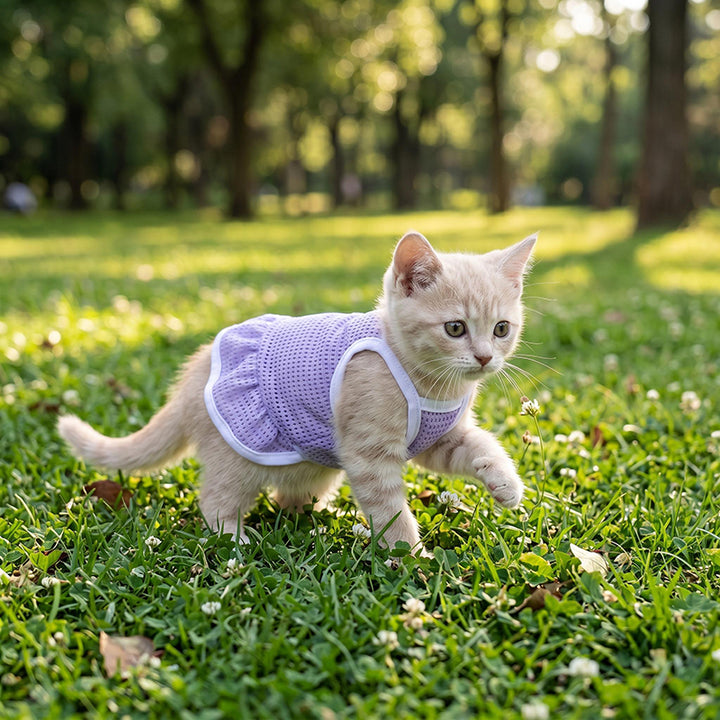Pet Breathable Mesh Sundress