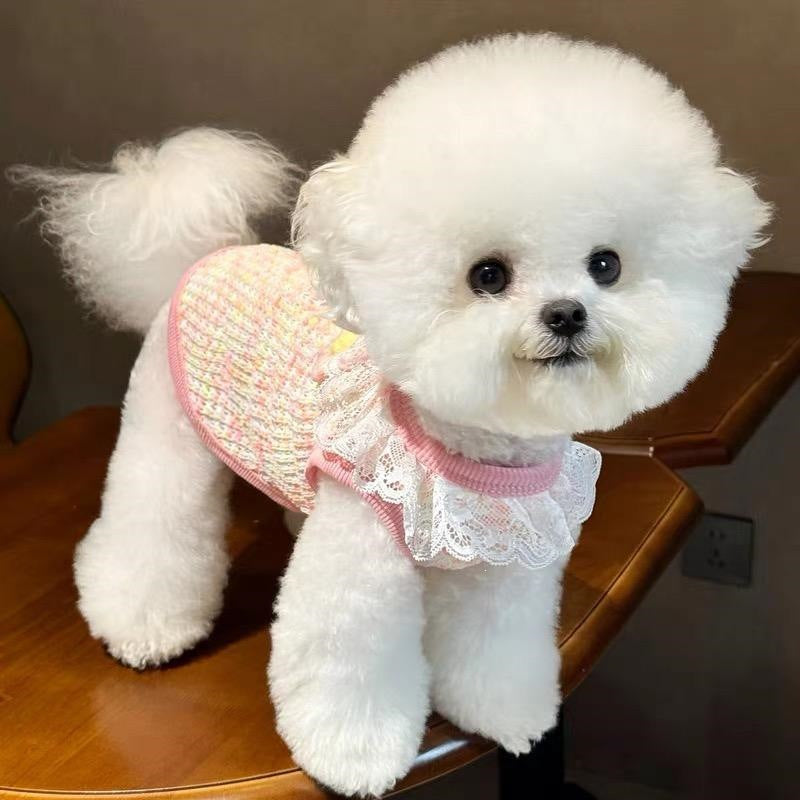 Pet Summer Vest