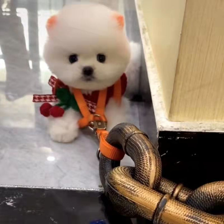 Fake Heavy Chain Dog Leash